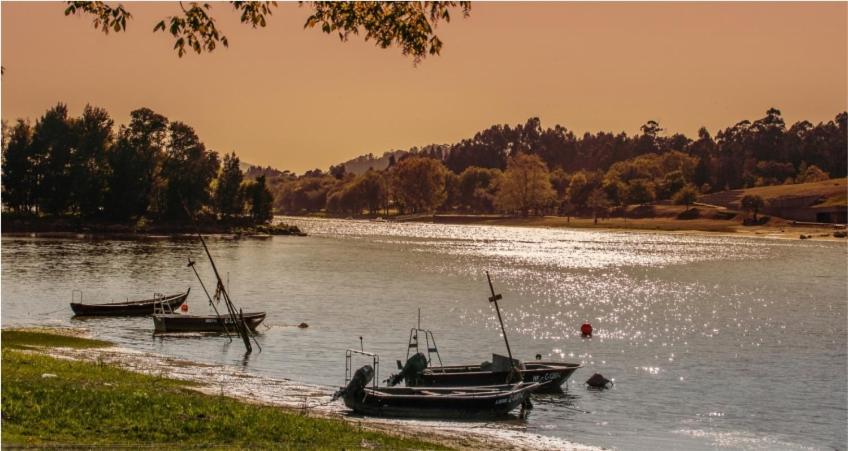 Just Like Home - Casa Do Sobreiro Velho Em Cerveira Vila Nova de Cerveira Dış mekan fotoğraf